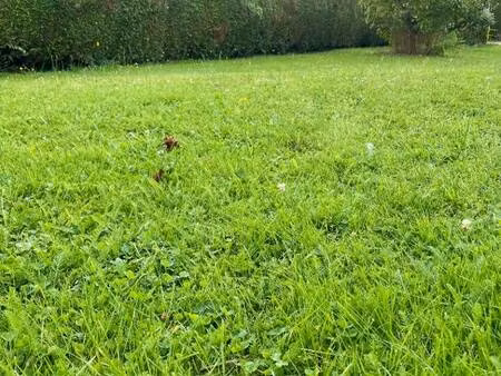 terrain constructible viabilisé à vendre