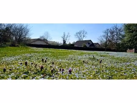 terrain constructible à vendre