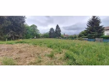 terrain constructible viabilisé à vendre