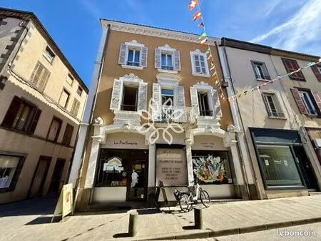 immeuble 233 m² brioude