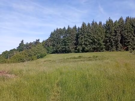 terrain 6800 m² cremeaux