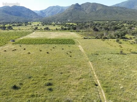 terrains agricoles 12 717 m²