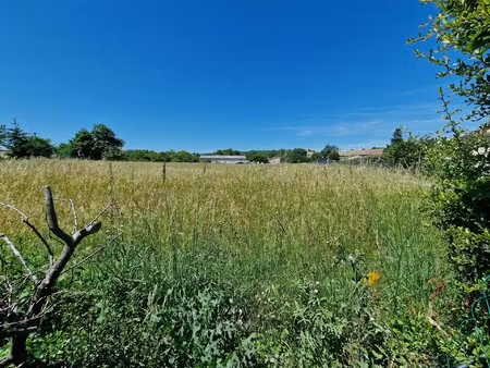 terrain constructible
