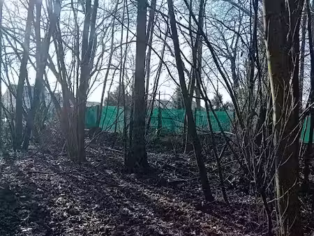 vente terrain 10555 m² à chalette-sur-loing (45120)  14 900 €