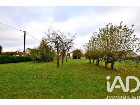 vente terrain 1096 m² à la chapelle-blanche-saint-martin (37240)  19 000 €