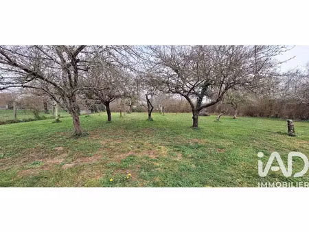 vente terrain 1030 m² à mosnay (36200)  13 000 €