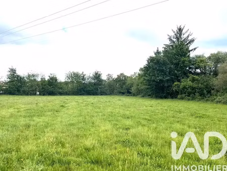 vente terrain 7985 m² à nouic (87330)  28 000 €