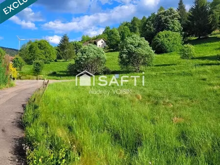 vente terrain à batir 1009 m² à saint-maurice-sur-moselle (88560)  54 000 €