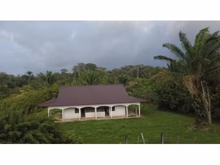 vente terrain 20025 m² à mana (97360)  67 000 €