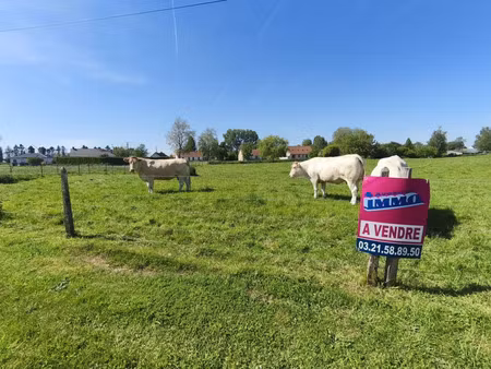 vente terrain 1000 m² frévent (62270)