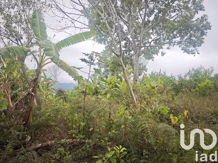 vente terrain 919 m² à le tampon (97430)  175 000 €