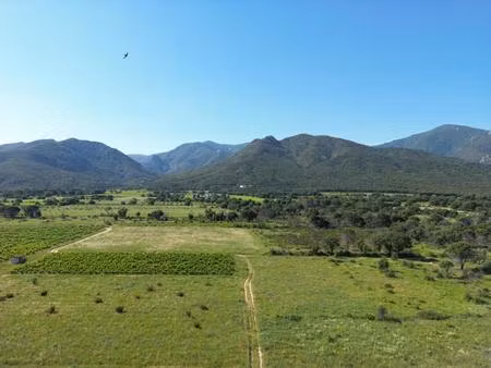 terrain agricole