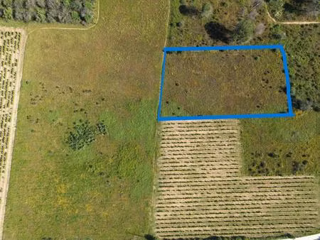 terrain agricole