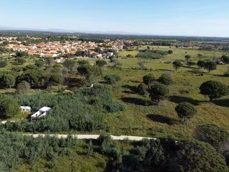 terrain agricole