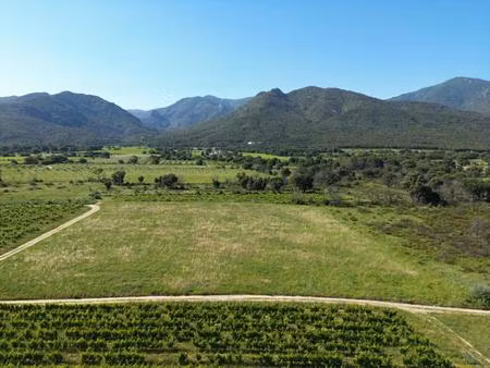 terrain agricole