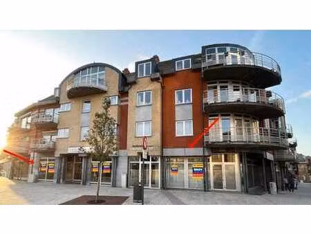 ruim commercieel gelijkvloers/kantoor beringen