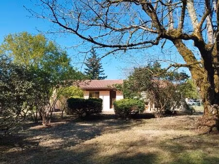 location maison 4 pièces 106 m² à listrac-médoc (33480)