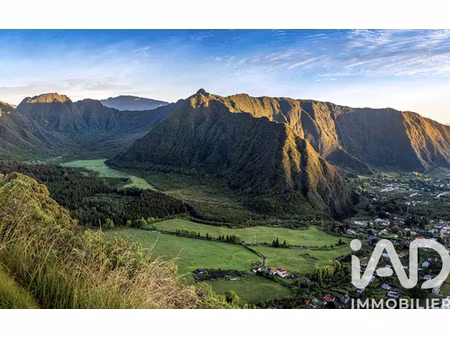 vente terrain 2891 m² à la plaine des palmistes (97431)  243 000 €