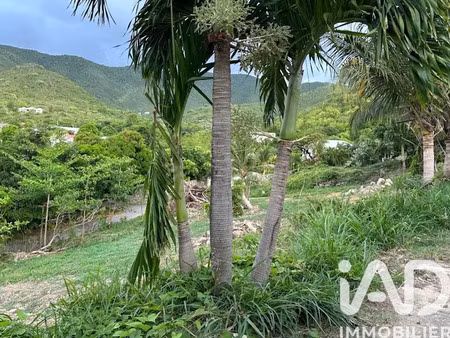vente terrain 2000 m² à saint-martin (97150)  295 000 €
