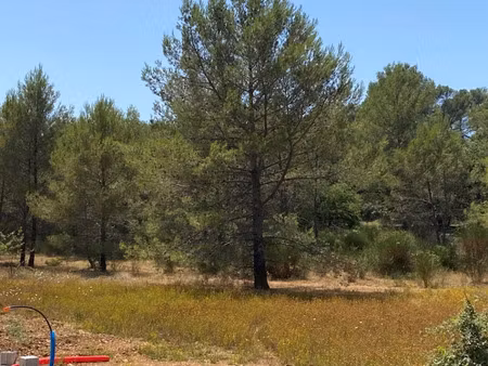 vente terrain 403 m² à six-fours-les-plages (83140)  340 000 €