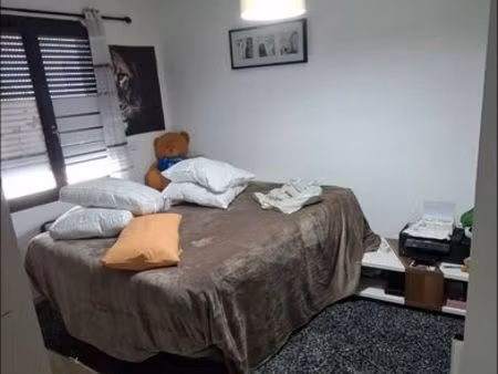 maison familiale récente avec extérieur