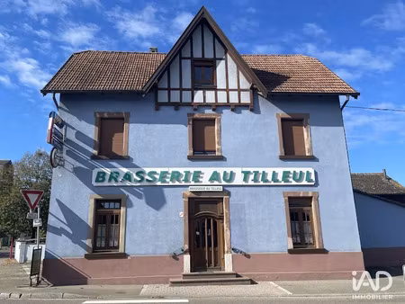 vente locaux professionnels 0 pièces 250 m² à artolsheim (67390)  126 000 €
