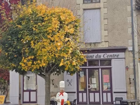 vente locaux professionnels 0 pièces 400 m² à bouresse (86410)  128 000 €