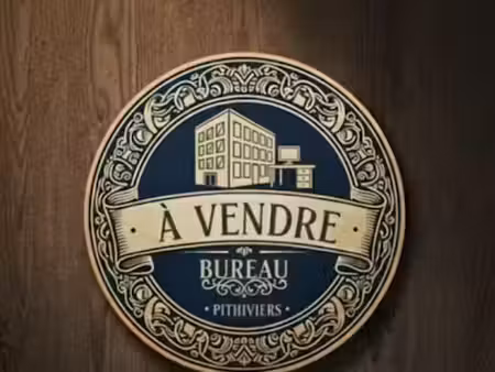 vente locaux professionnels 0 pièces 160 m² à pithiviers (45300)  160 000 €