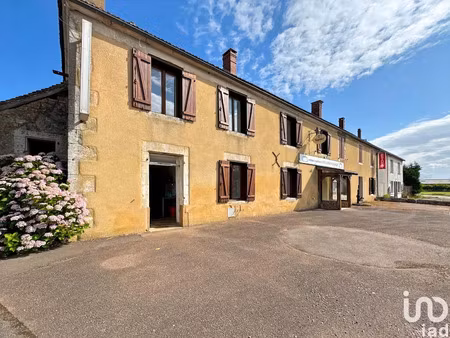 vente locaux professionnels 0 pièces 275 m² à saint-sauveur-en-puisaye (89520)  145 000 €