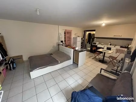 appartement 1 pièce 41 m²