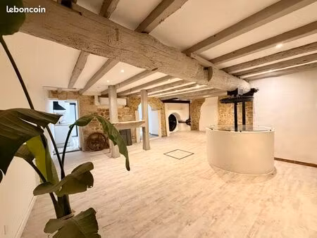 3p 104m2 rénové à neuf quartier saint blaise