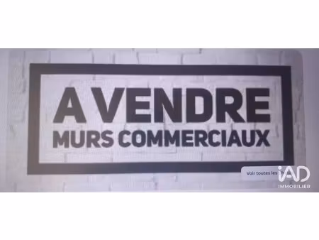 vente locaux professionnels 0 pièces 900 m² à saint-hilaire-sur-erre (61340)  490 000 €
