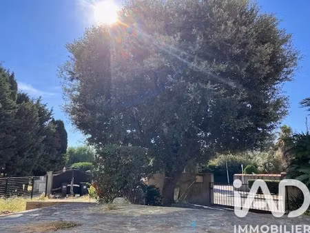 vente immeuble 0 pièces 180 m² à le soler (66270)  379 000 €