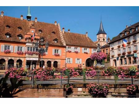 fonds de commerce à vendre obernai 3 pièce(s) 156m2 179 200€