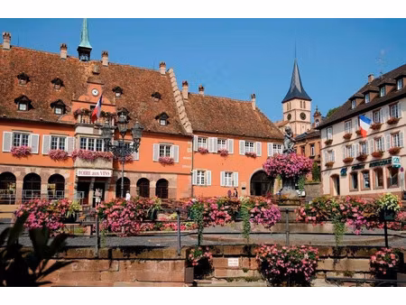 fonds de commerce à vendre obernai 3 pièce(s) 156m2 199 500€