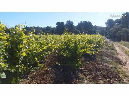 32ha de vignes irrigables attenantes