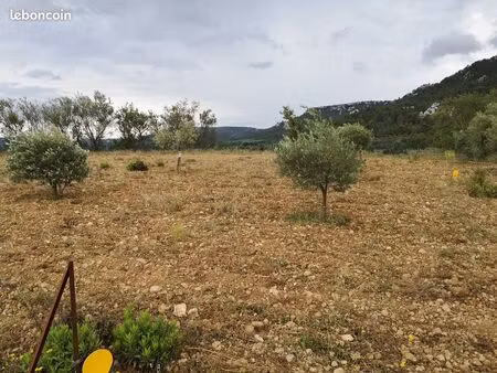 ◊ rare – terrain constructible 2535 m² – vue vallée – plein sud – 145 000