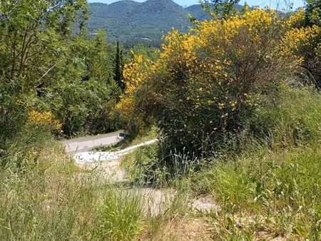 terrain 11 000 m² avec permis de construire — saint-polycarpe
