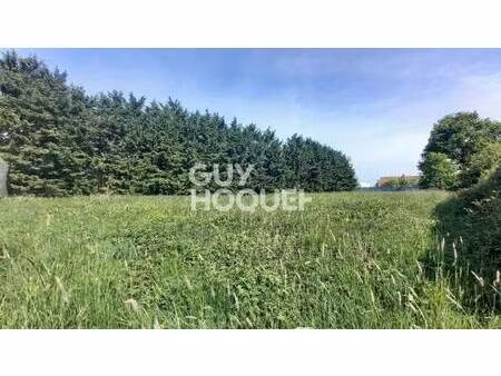 terrain constructible viabilisé à vendre