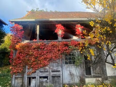 maison et garage à restaurer