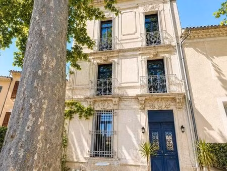 maison de maître salleles d aude