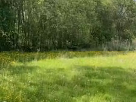 terrain a jardin non constructible