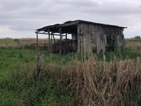 terrain avec cabane