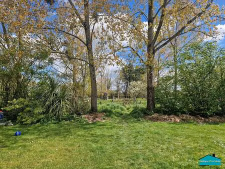 vente terrain à saint-philbert-de-grand-lieu (44310) : à vendre / 3500m² saint-philbert-de