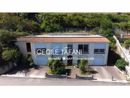 vente immeuble 212 m² sartène (20100)
