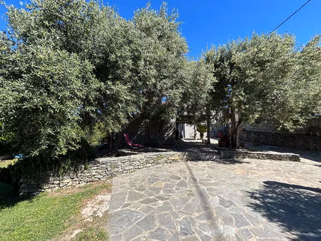 a vendre campile maison entièrement rénovée de 4 pièce(s) avec jardin