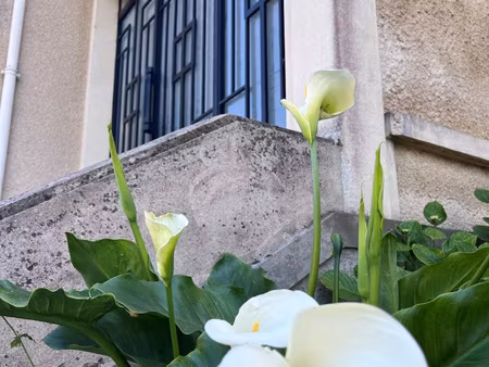 maison de caractère familiale avec jardin arboré et beaux vo