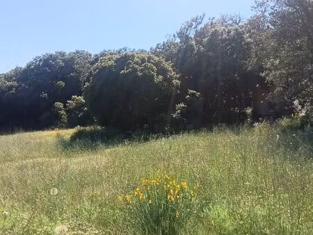 terrain 1ha 20 ares zone naturelle