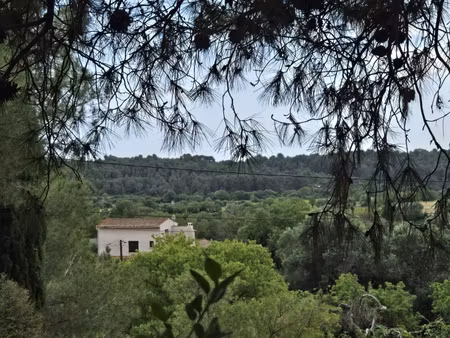 castelnau de guers  terrain à bâtir vue dominante