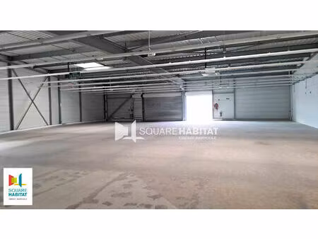 local commercial chatellerault 600 m²